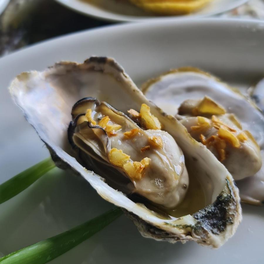 Torrebeatrice 호텔 바냐이아 외부 사진